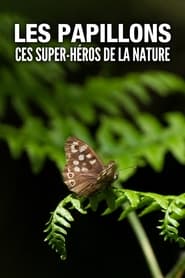 Les Papillons ces superhros de la nature' Poster