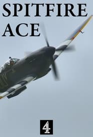 Spitfire Ace' Poster