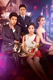Good Wife' Poster