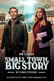 Small Town Big Story' Poster