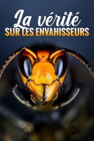 La vrit sur les envahisseurs' Poster