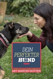 Dein perfekter Hund' Poster