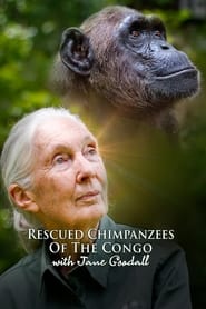 Rescued Chimpanzees of the Congo with Jane Goodall' Poster