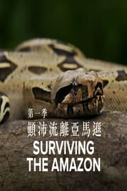 Surviving the Amazon' Poster