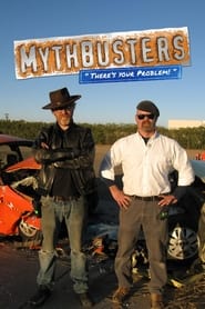 MythBusters Theres Your Problem
