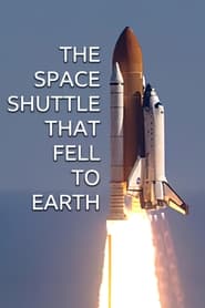 The Space Shuttle That Fell to Earth' Poster