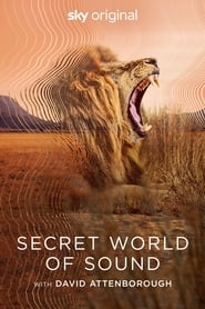 Secret World of Sound with David Attenborough' Poster