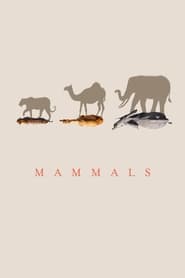 Mammals' Poster