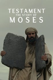 Testament The Story of Moses' Poster