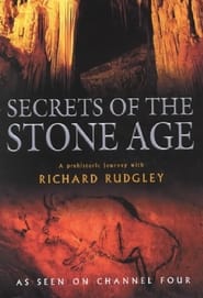 Secrets of the Stone Age' Poster