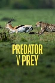 Predator v Prey' Poster