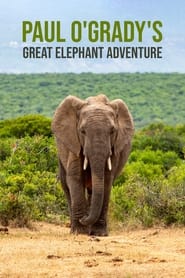 Paul OGradys Great Elephant Adventure' Poster