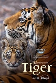 Tiger' Poster