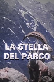 Streaming sources forLa Stella Del Parco