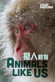 Animals Like Us' Poster