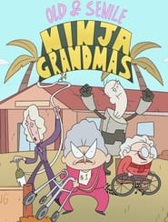 Old  Senile Ninja Grandmas' Poster