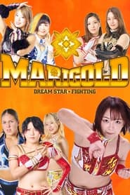 Dream Star Fighting MARIGOLD' Poster