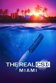 The Real CSI Miami' Poster