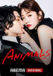 Animals' Poster