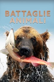 Battaglie animali' Poster