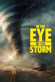 In the Eye of the Storm' Poster