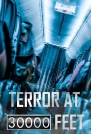 Terror at 30000 Feet' Poster