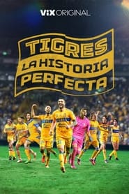 Tigres La historia perfecta' Poster