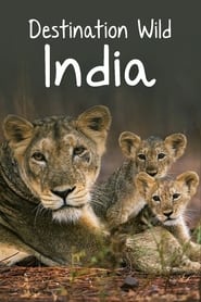 Destination Wild India' Poster