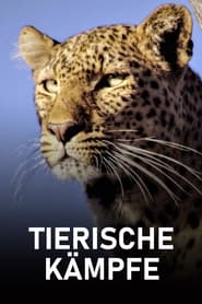 Tierische Kmpfe' Poster