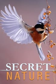 Streaming sources forSecret Nature