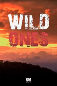 Wild Ones' Poster