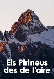 Els Pirineus des de laire' Poster