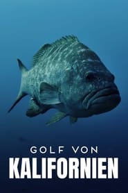 Golf von Kalifornien' Poster