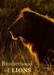 Brotherhood of Lions' Poster