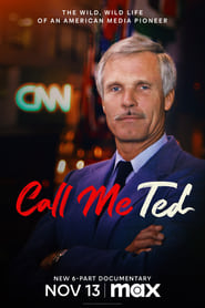 Call Me Ted' Poster