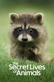 Streaming sources forThe Secret Lives of Animals