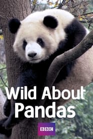 Wild About Pandas' Poster