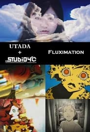 Fluximation' Poster