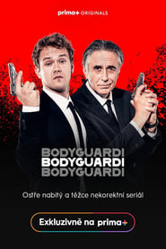 Bodyguardi' Poster