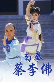 The Rise of A Kung Fu Master' Poster