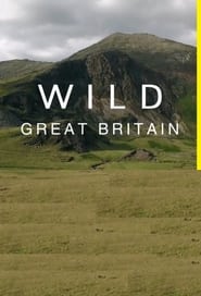 Wild Great Britain' Poster