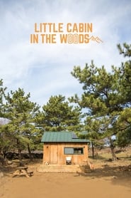 Little Cabin in the Woods' Poster