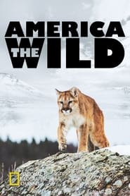 America the Wild' Poster