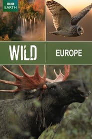 Wild Europe' Poster