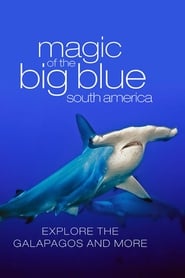 The Magic of the Big Blue' Poster