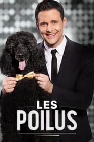 Les poilus' Poster