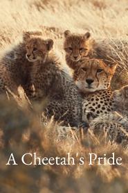 Streaming sources forA Cheetahs Pride