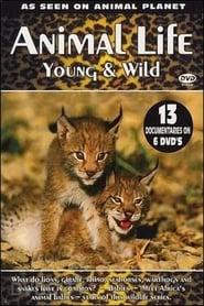 Streaming sources forAnimal Life Young  Wild