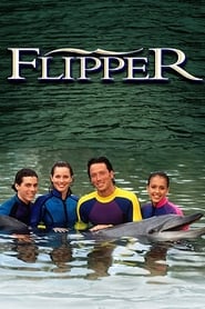 Flipper' Poster