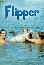 Flipper' Poster
